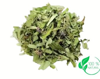 Vervain | Vervain Herb | Wildcrafetd Vervain| Vervain | Verbena officinalis | Dried Herbs | Herbal Tea