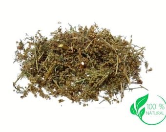 Sweet Wormwood | Artemisia annua | Sweet Annie Tea | Qinghaosu Herb | Sweet Wormwood Herbal Tea