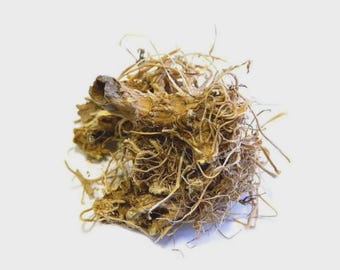 Jacob’s Ladder Root | Polemonium caeruleum | Herbal Tea| Premium Quality