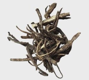 Burnet Saxifrage Root | PIMPINELLA SAXIFRAGA | Herbal Tea | Dried Herbs | Herbal Tea| Premium Quality