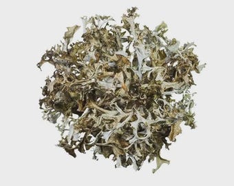 Iceland Moss | Icelandic Moss | Cetraria Islandica | Herbal Tea | Dried Herbs | Herbal Tea| Premium Quality