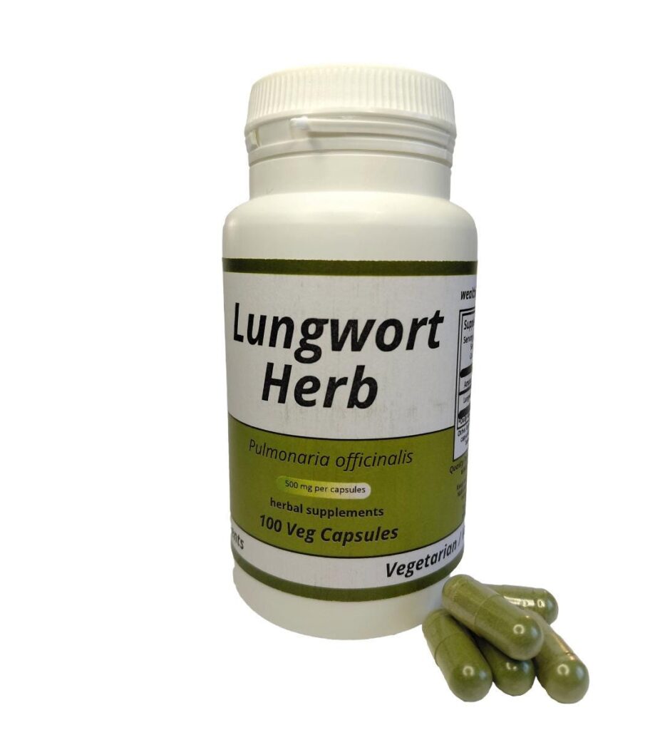 Lungwort Herb  (Pulmonaria officinalis)  500mg vegetarian capsules