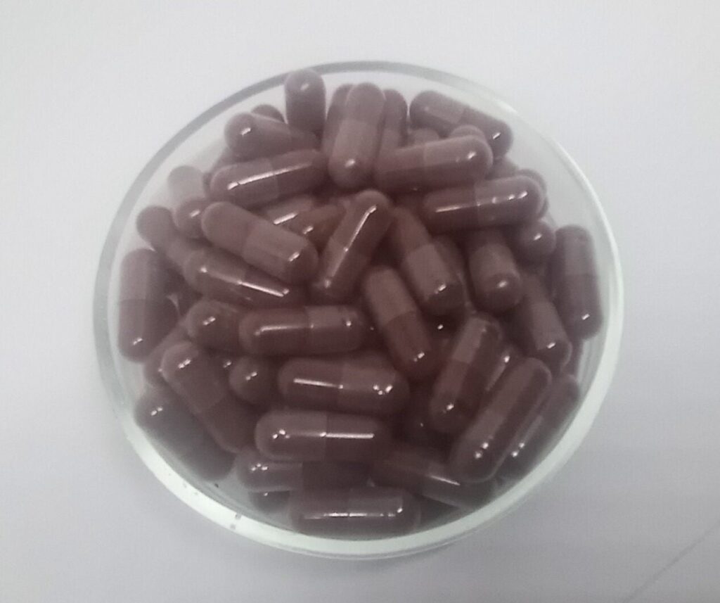 Wild Bilberries | Vaccinium myrtillus | vegetarian capsules - 500 mg Vegan Capsules Herbal