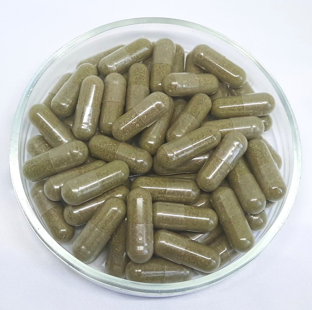 Black crowberry herb | Empetrum nigrum | Capsules - 500 mg Vegan Capsules Herbal