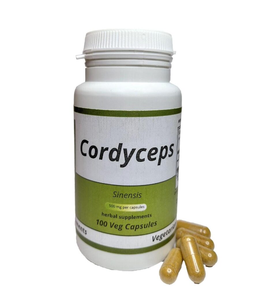 Cordyceps Sinensis 500mg vegetarian capsules