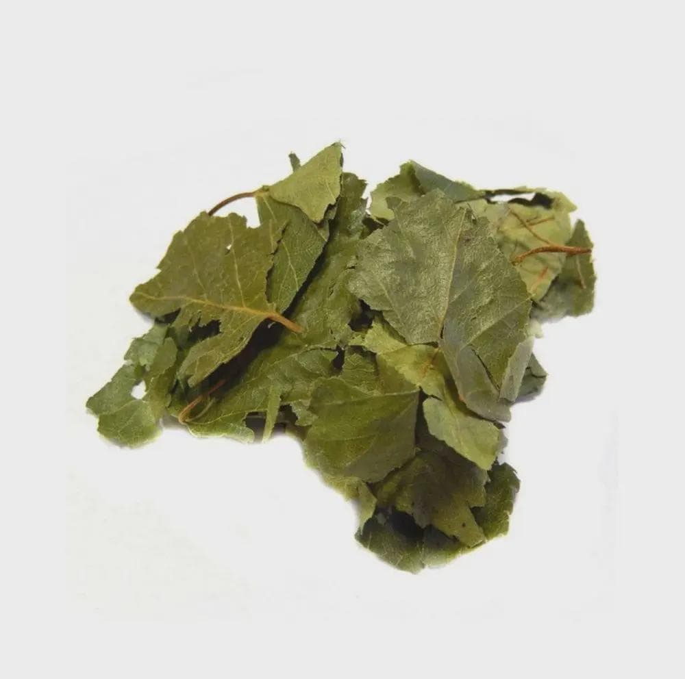 Birch Leaf | Common Birch Leaf | birch leaves | Herbal tea | Natural dried leaf | Betula Pendula Roth Folia | Herbal Tea| Premium Quality