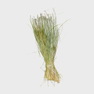 Sweetgrass Braids | sweetgrass | Hierochloe odorata | Buffalo Grass | Dried Herbs | Herbal Tea| Premium Quality