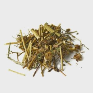 Three-Lobe Beggarticks Herb | Bidens tripartita | Herbal Tea | Dried Herbs | Herbal Tea| Premium Quality
