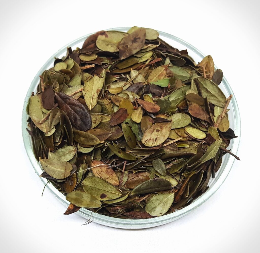 lingonberry leaf | Cowberry leaf |Cranberry Leaf | Wild Cranberry Leaves | Cranberry Leaf | Vaccinium Vitis idaea