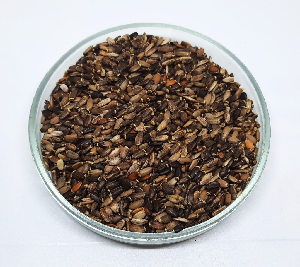 Milk Thistle Seeds Whole | Milk Thistle Seeds | Silybum marianum