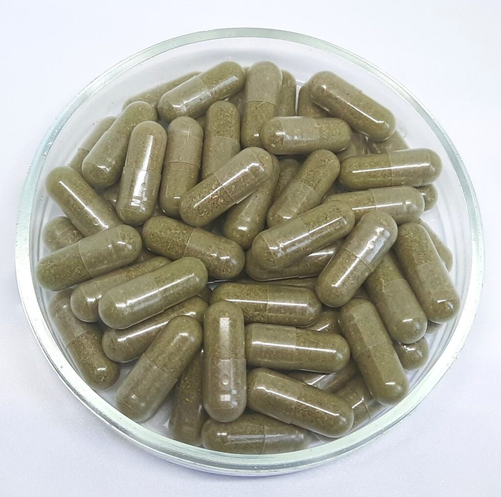 Acacia Flowers | Wattle Flower | Capsules - 500 mg Vegan Capsules Herbal
