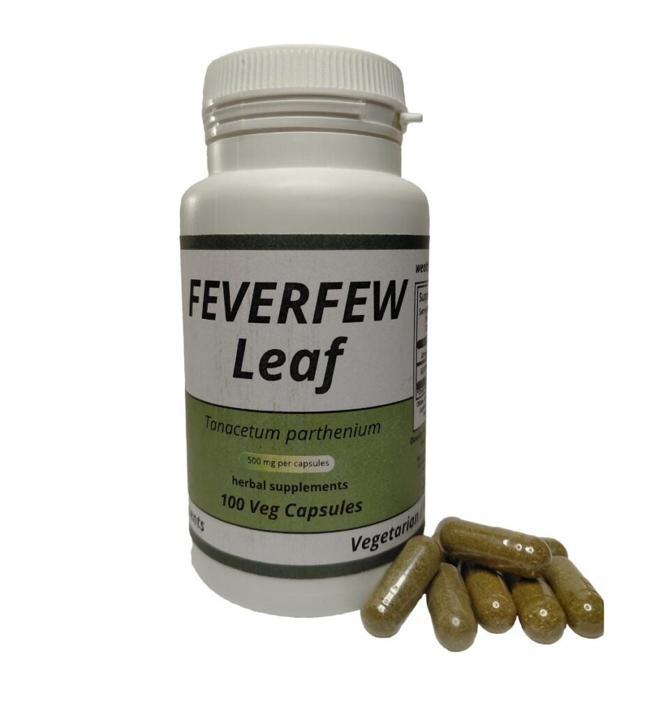 FEVERFEW Leaf (Tanacetum parthenium) 500mg vegetarian capsules