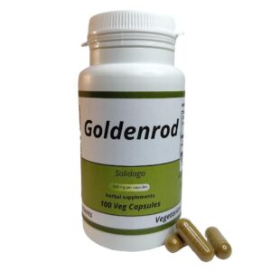 Goldenrod (Solidago) 500mg vegetarian capsules