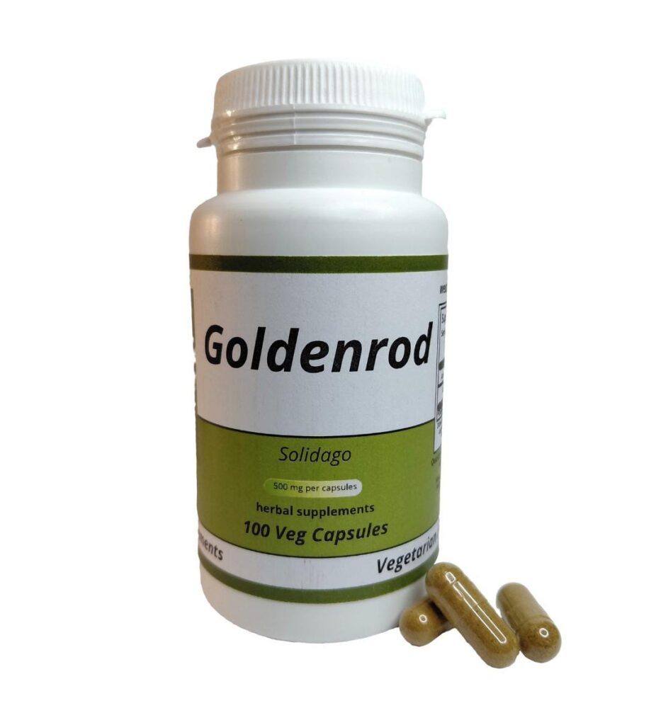 Goldenrod (Solidago) 500mg vegetarian capsules