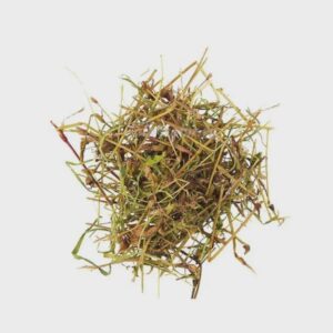 Water Pepper | Marshpepper Knotweed | Persicaria hydropiper | Dried Herbs | Herbal Tea| Premium Quality