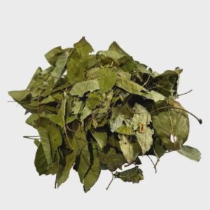 Cherry Leaf | Prunus cerasus | Herbal Tea | Dried Herbs | Herbal Tea| Premium Quality