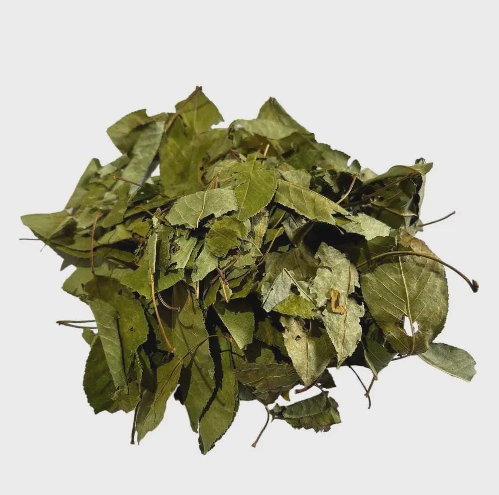 Cherry Leaf | Prunus cerasus | Herbal Tea | Dried Herbs | Herbal Tea| Premium Quality