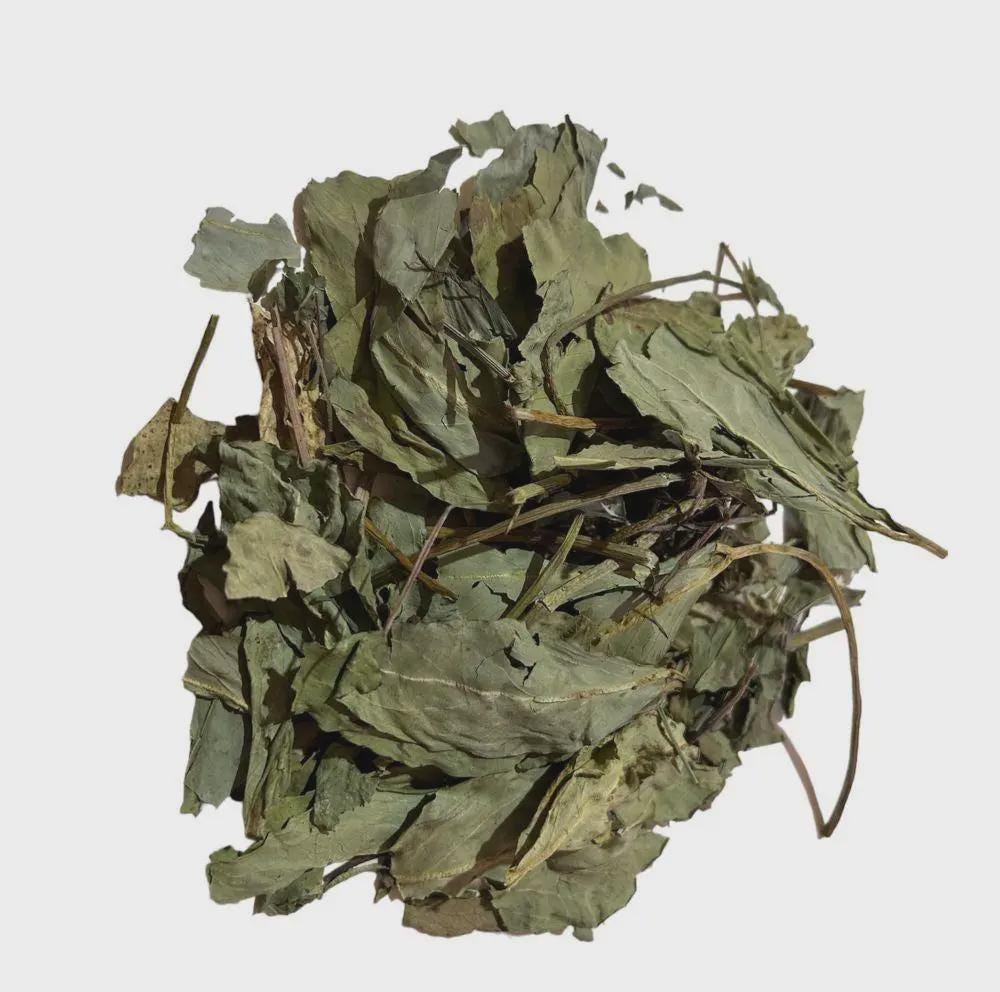 Bogbean Leaf | Bogbean Herb | Menyanthes Trifoliata | Herbal Tea | Dried Herbs | Herbal Tea| Premium Quality