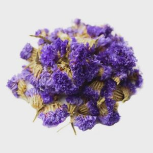 Forget Me Not Flower | Myosotis Arvensis | Field Forget-me-not Flower | Herbal Tea | Dried Herbs | Herbal Tea| Premium Quality