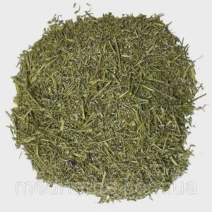 Forget Me Not Herb | Myosotis Arvensis | Herbal Tea | Dried Herbs | Herbal Tea| Premium Quality
