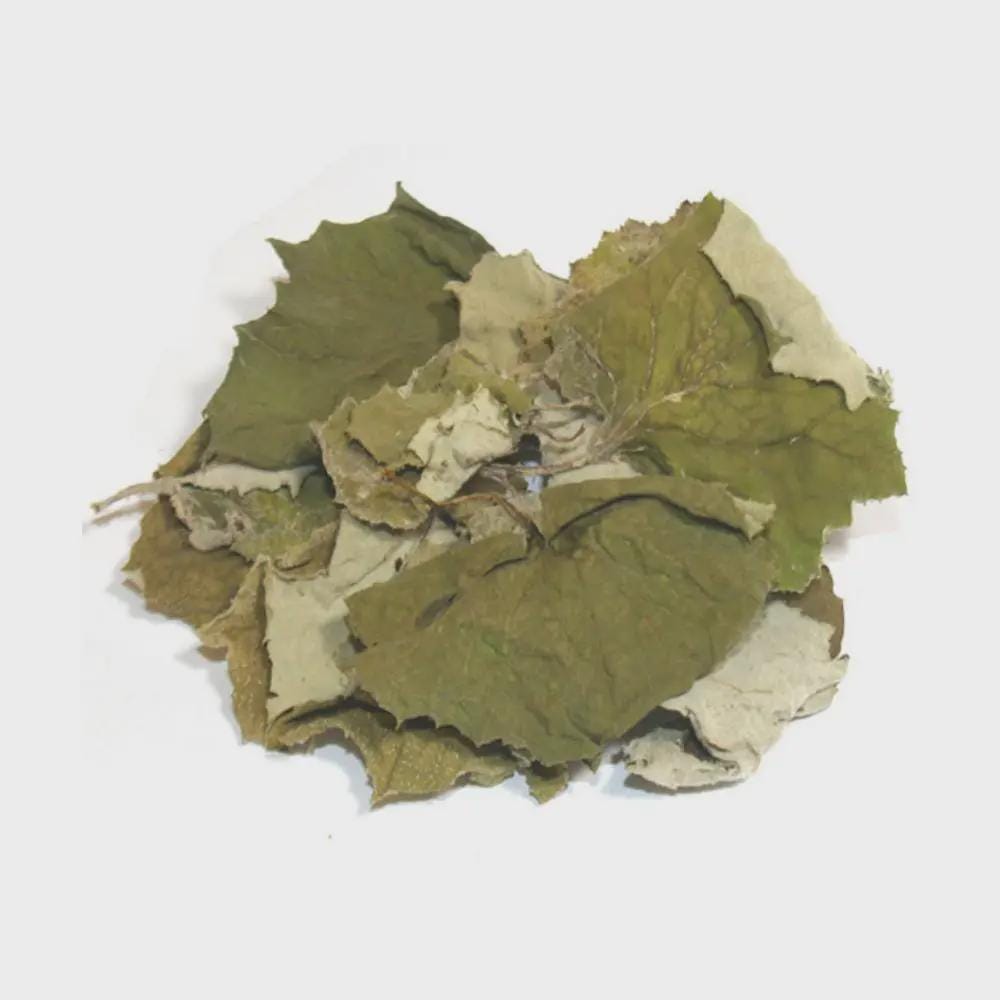 Coltsfoot | Coltsfoot Herb | Tussilago farfara | Tusilago Farfara Folia | Herbal Tea | Dried Herbs | Herbal Tea| Premium Quality