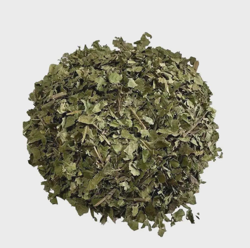 Walnut Leaf | Walnut Leaves | Walnut Leaf Tea | Juglans Regia Fo | Herbal Tea | Dried Herbs | Herbal Tea| Premium Quality