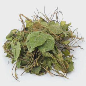 Sidebells Wintergreen | Ortilia secunda – Borovaya Matka Herb / Upland Motherwort | Herbal Tea | Dried Herbs | Herbal Tea| Premium Quality