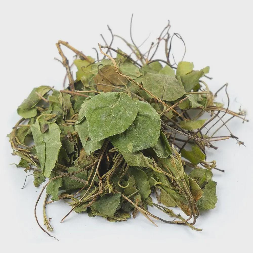 Sidebells Wintergreen | Ortilia secunda – Borovaya Matka Herb / Upland Motherwort | Herbal Tea | Dried Herbs | Herbal Tea| Premium Quality