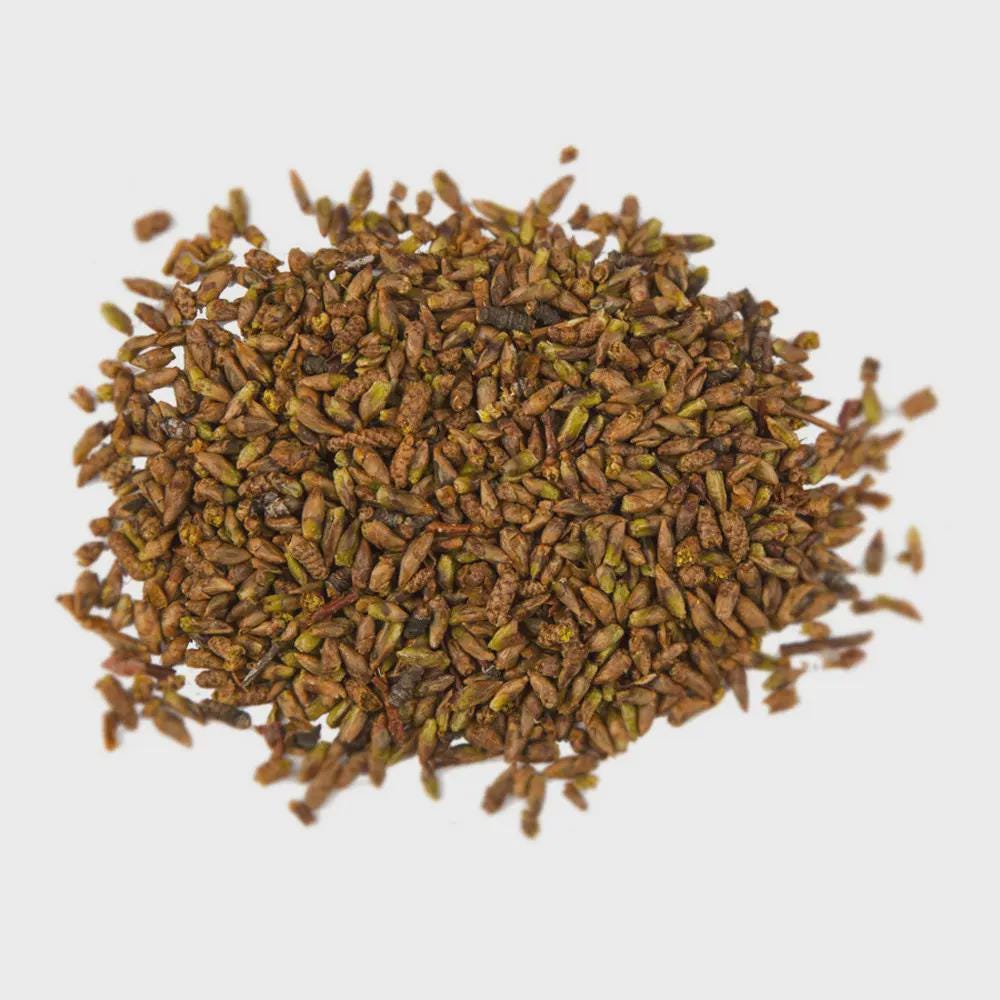 Birch Buds | Betulae Alba | Herbal Tea | Dried Herbs | Herbal Tea| Premium Quality
