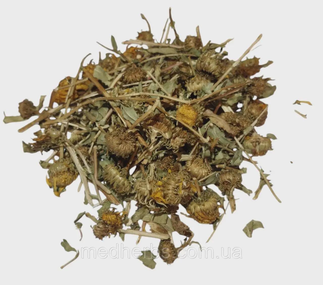 grindelia herb | Grindelia robusta ( Grindelia squarrosa)| Herbal Tea | Dried Flowers | Organic Herbs | Herba | Tea | Flowers